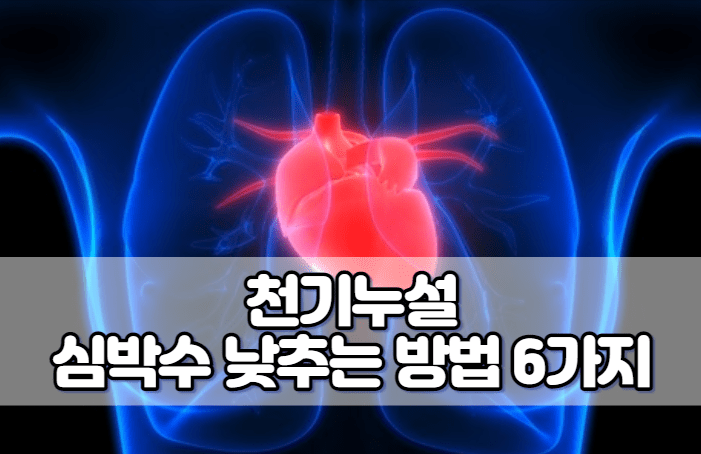 천기누설 심박수 낮추는 방법