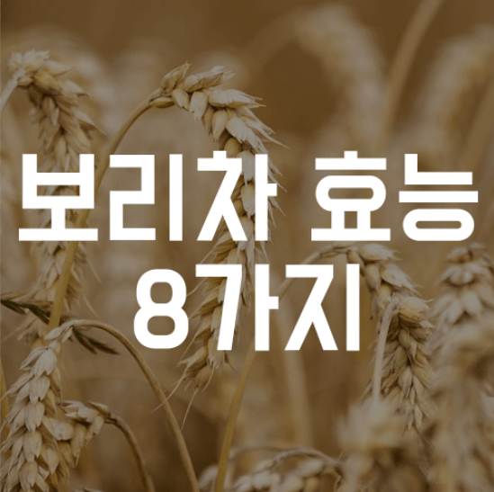 보리차 효능