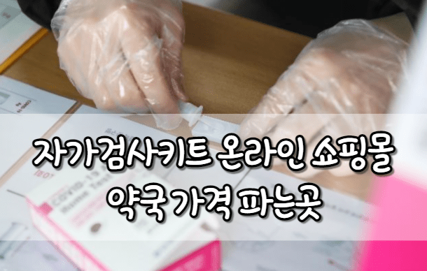 자가검사키트 온라인 쇼핑몰 약국 가격 파는곳