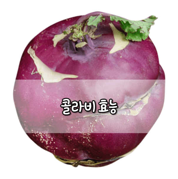 콜라비 효능