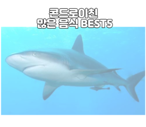 콘드로이친 많은 음식 BEST5
