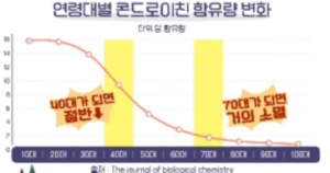 콘드로이친 많은 음식 
