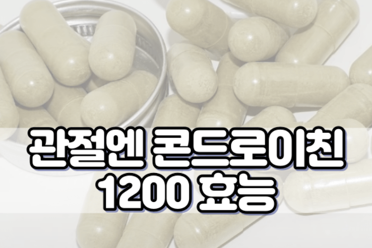관절엔 콘드로이친 1200 효능