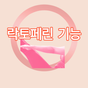 장용성 락토페린