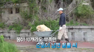 휴면다큐 사노라면 거제도 여행 정보 가볼 만한 곳