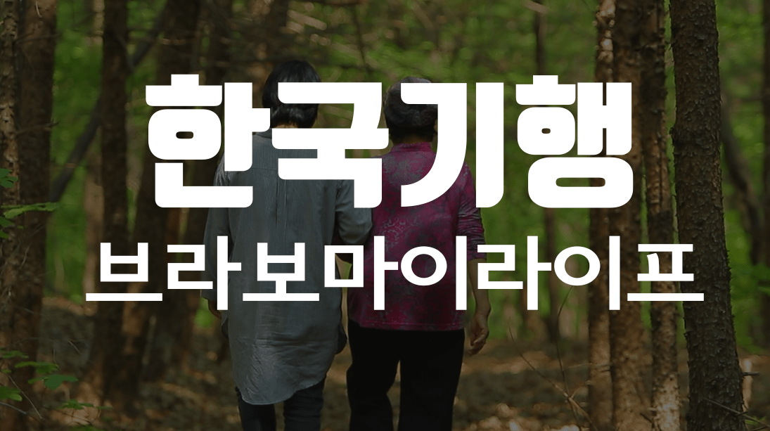 한국기행 친애하는 나의 숲