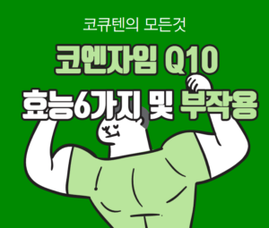 코큐텐 효능