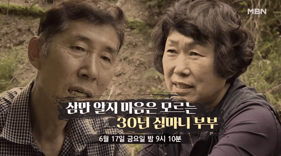 휴면다큐 사노라면 양주 산양삼