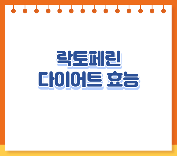 락토페린 다이어트 효능