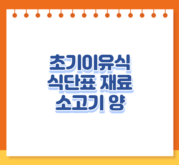 초기이유식 식단표 재료 소고기 양