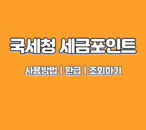 국세청 세금포인트 사용방법 및