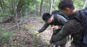 극한직업 자연산 갯바위 돌미역