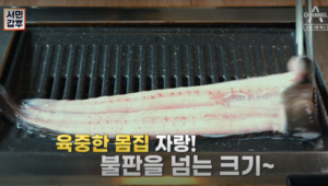 서민갑부 민물 장어