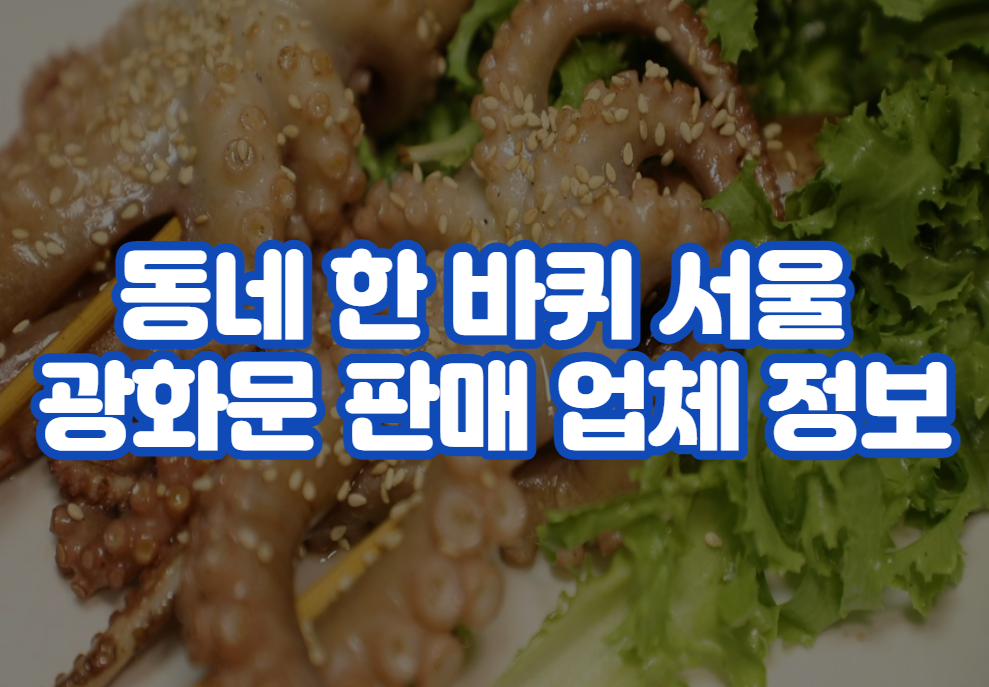 동네 한 바퀴 서울 광화문