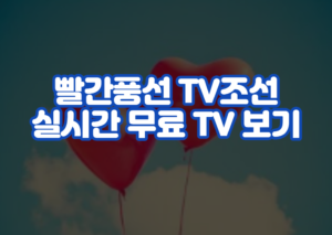 빨간풍선 TV조선 실시간 무료 TV 보기