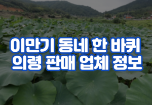 이만기 동네 한 바퀴 의령