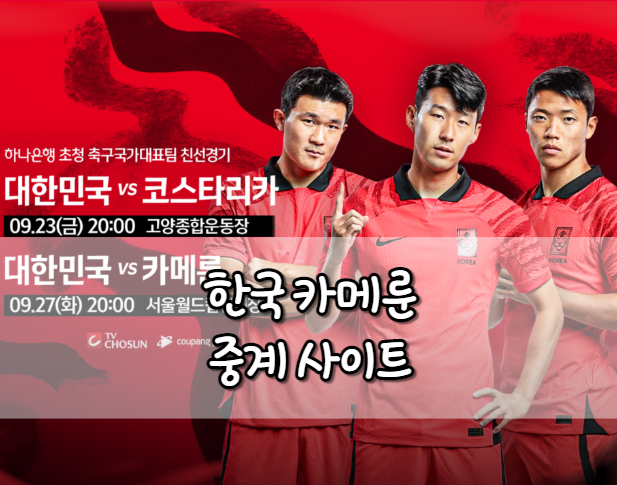 한국 카메룬 중계