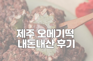 제주 오메기떡 내돈내산 후기