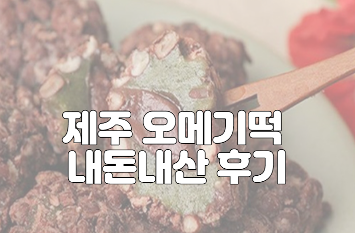 제주 오메기떡 내돈내산 후기