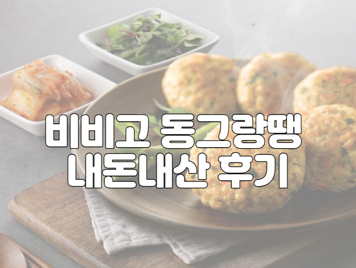 비비고 동그랑땡 내돈내산 후기