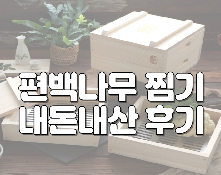 편백나무 찜기 내돈내산 후기