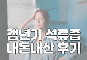 갱년기 석류즙 내돈내산