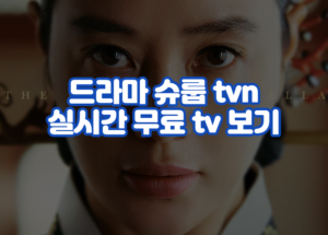 드라마 슈룹 tvn 실시간 무료 tv 보기