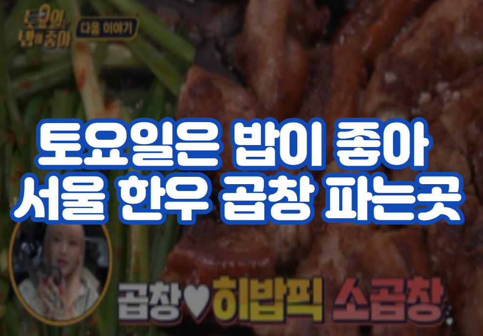 토요일은 밥이 좋아 서울 한우 곱창
