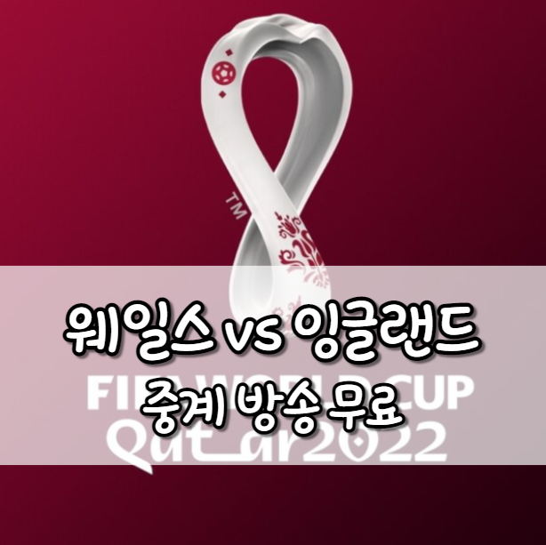 웨일스 잉글랜드 중계