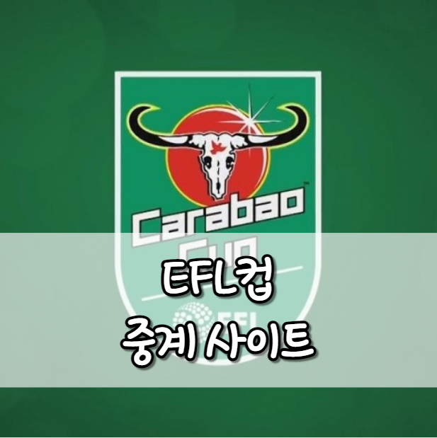 EFL컵 중계