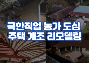 극한직업 농가 도심 주택 개조