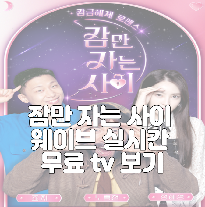 잠만 자는 사이 웨이브 실시간 무료 tv 보기