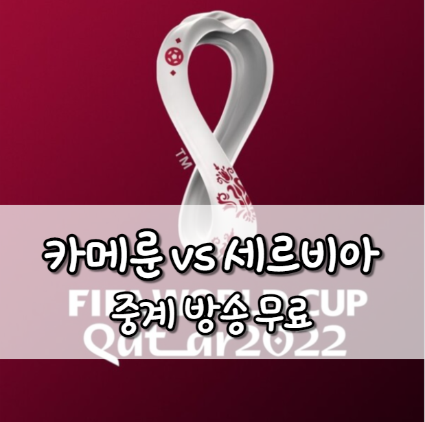 카메룬 세르비아 중계