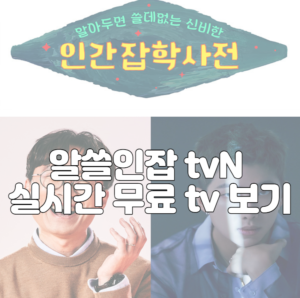 알쓸인잡 tvN 실시간 무료 tv 보기