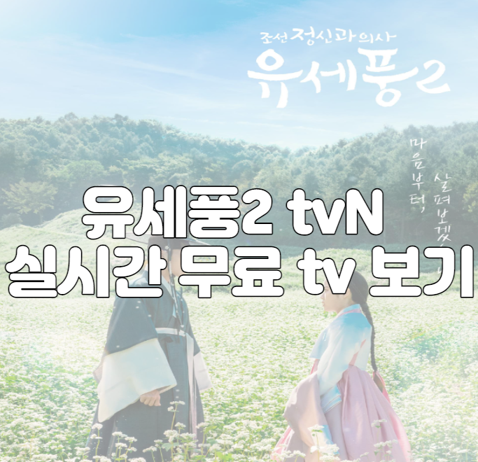 유세풍2 tvN 실시간 무료 tv 보기