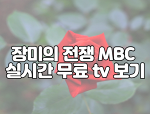 장미의 전쟁 MBC 실시간 무료 tv 보기 홈페이지