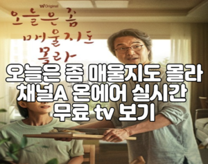 오늘은 좀 매울지도 몰라 채널A 온에어 실시간 무료 tv 보기