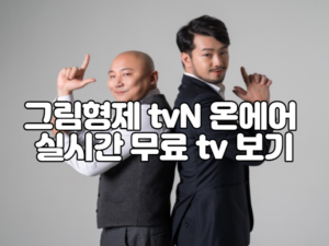 그림형제 tvN 온에어 실시간 무료 tv 보기