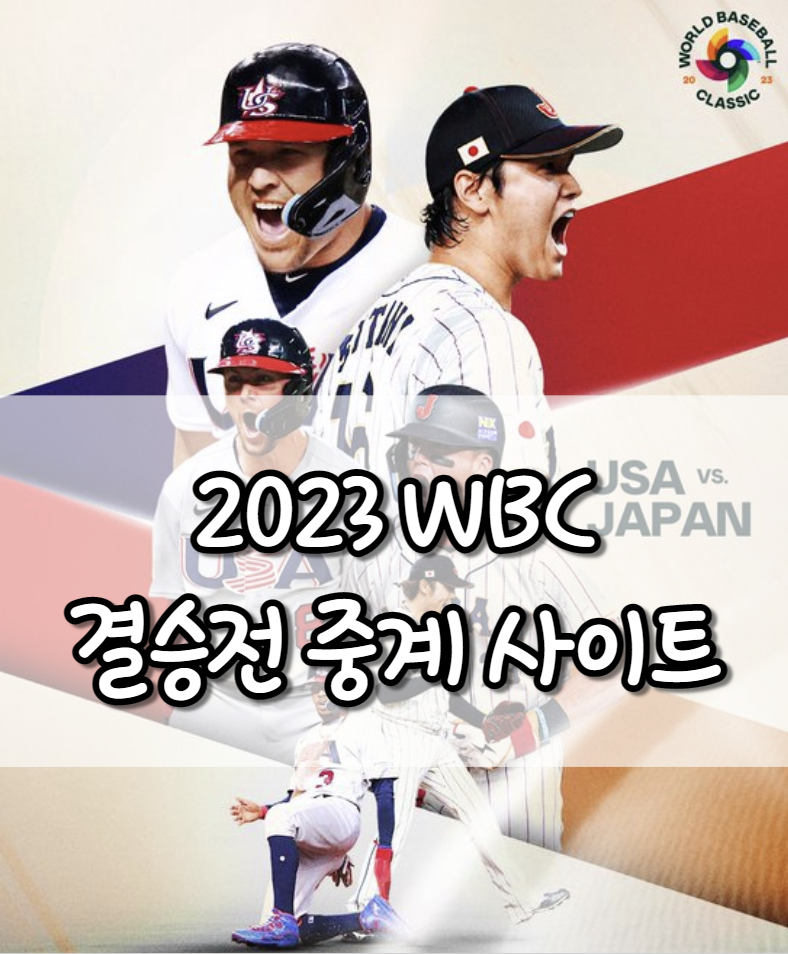 WBC 결승전 중계