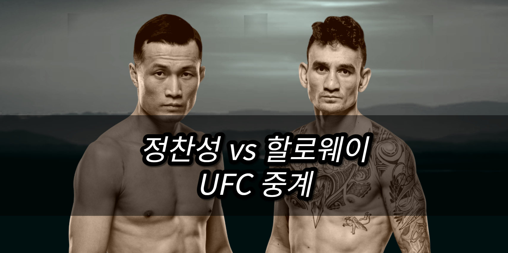 정찬성 할로웨이 UFC 중계