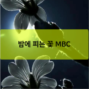 밤에 피는 꽃 MBC