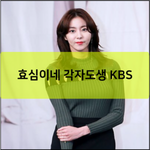 효심이네 각자도생 KBS