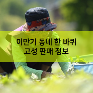 이만기 동네 한 바퀴 고성