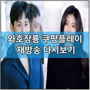 와호장룡 쿠팡플레이 재방송 다시보기