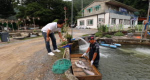 이만기 동네 한 바퀴 평창 메밀 막국수