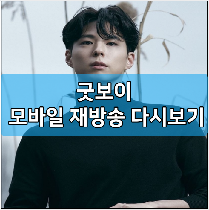 굿보이 모바일 재방송 다시보기