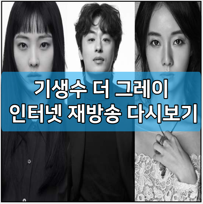 기생수 더 그레이 인터넷 재방송 다시보기