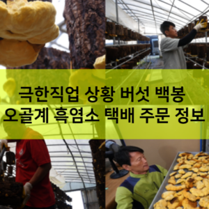 극한직업 상황 버섯